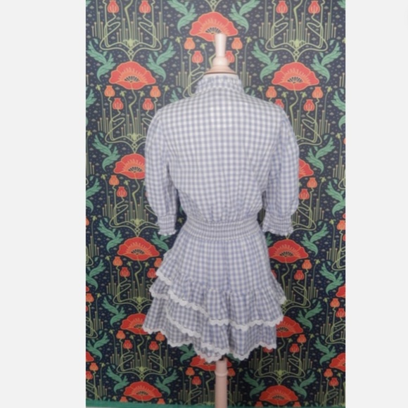 The Shirt Rochelle Behrens Brigitte Blue White Gingham Mini Dress - Picture 8 of 8